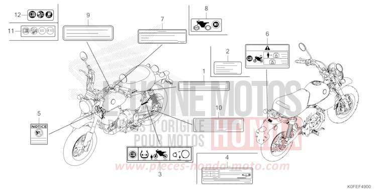 WARNETIKETT von Monkey PEARL NEBULA RED (R376) von 2022