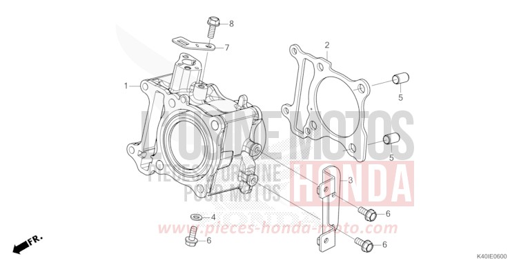 CYLINDRE von Forza PEARL FALCON GRAY (NHC61) von 2023